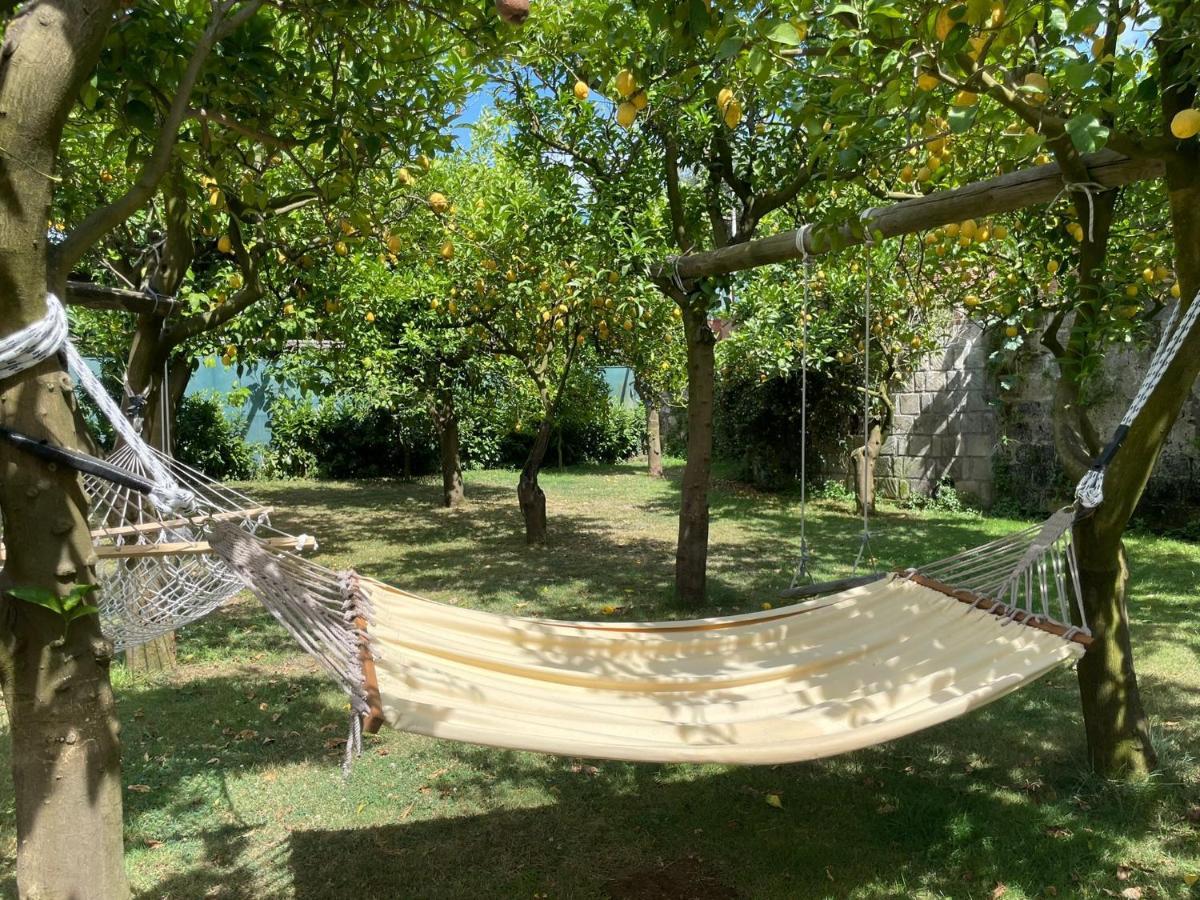 Casa Sorrento, Immerso Nel Verde A Pochi Passi Dal Centro Exterior foto