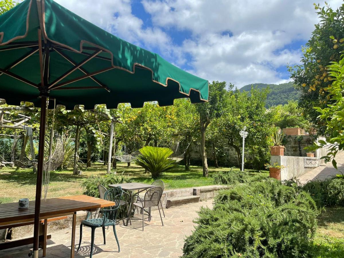 Casa Sorrento, Immerso Nel Verde A Pochi Passi Dal Centro Exterior foto